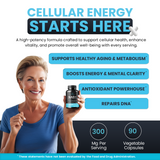 NAD+ Supplement Complex – Liposomal Formula with Resveratrol, CoQ10 & Green Tea – NMN Alternative