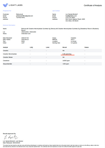 Creatine Monohydrate Gummies – 5g per Serving, 120 Count, Sugar Free, Blueberry Flavored