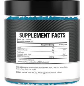 Creatine Monohydrate Gummies – 5g per Serving, 120 Count, Sugar Free, Blueberry Flavored